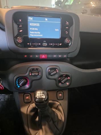 FIAT Panda 3ª serie Panda 1.0 FireFly S&S Hybrid Pandina - Foto 10