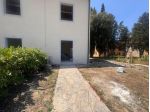 Terratetto in vendita a Asciano 143 mq  Rif: 1417404