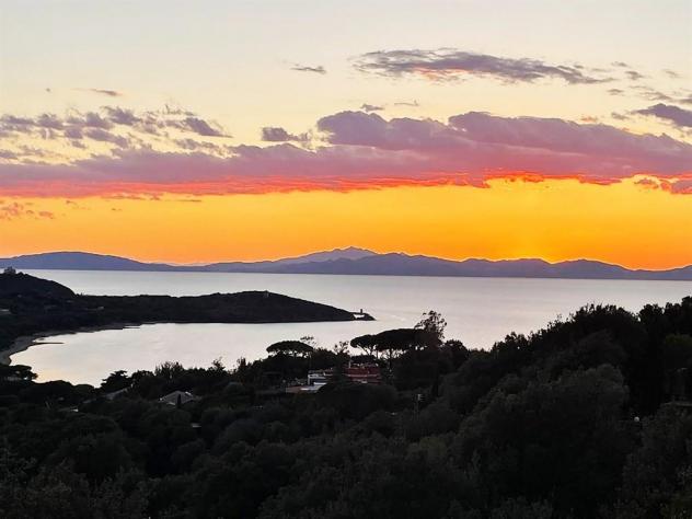 Splendida ed Esclusiva Proprietà Incastonata nella Dolce Collina di Punta Ala - Foto 3