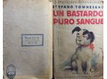 UN BASTARDO PURO SANGUE, STEFANO TOWNESEND, Sozogno,1928.
