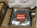 Radiatore Motore Kia Picanto 2531007500