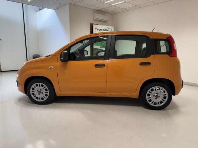 FIAT Panda Panda 1.0 FireFly Hybrid S&S 70CV 5 Posti - PREZZO REALE - Foto 8