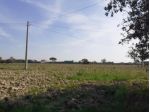 Terreno agricolo in vendita a San Lorenzo a Pagnatico - Cascina 7350 mq  Ri &hellip;