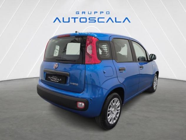 FIAT New Panda Pandina 1.0 FireFly 65 CV Hybrid Icon rif. 24116203 - Foto 6
