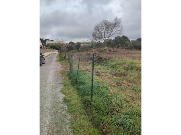 Agricolo in Vicolo Sant'Antonio in Canepine - Foto 9