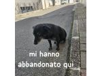 NONNO BLACK 13 kg E’ PER STRADA
