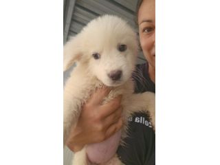 Carla: 3 mesi taglia media