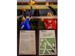 il libro di pallavolo, i Garzanti 5 ottobre 1978.
