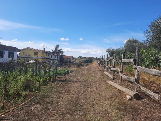Agricolo in Via Tor Paluzzi - Foto 6