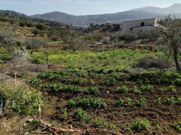 Agricolo in SP126 - Foto 20