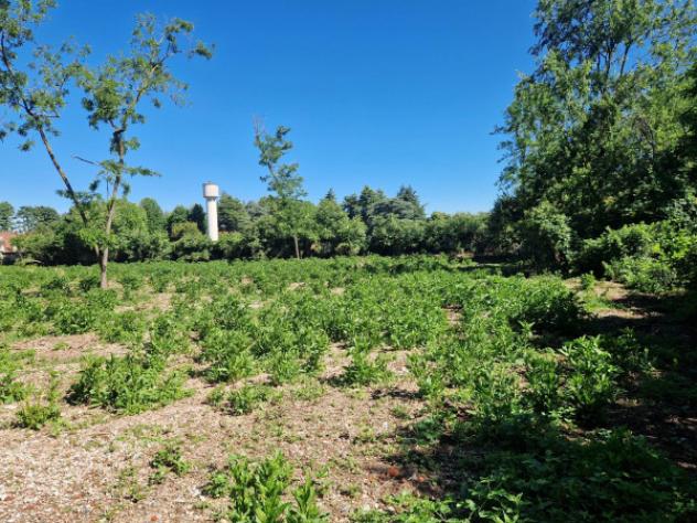 Terreno di 6500 m² in vendita a Olgiate Olona - Foto 4