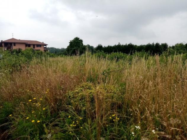 Terreno di 900 m² in vendita a Sumirago - Foto 5