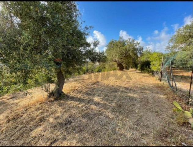 Terreno Edificabile in vendita a Termini Imerese - Foto 7