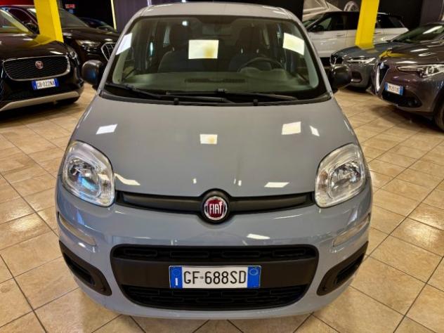 FIAT Panda 1.0 Hybrid PREZZO + IVA rif. 24182576 - Foto 2