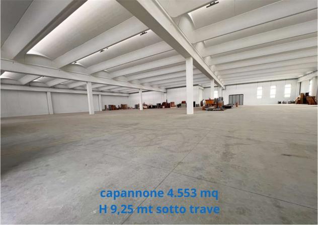 2430 - Capannone in Affitto 5.150 mq a Fonte (TV) Rif. 2430 - Foto 10