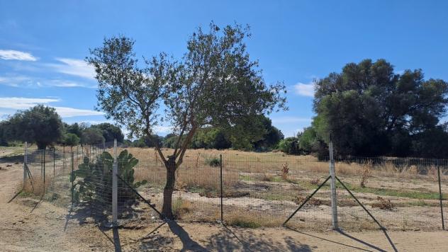 Agricolo in vendita a Quartucciu - Foto 16