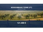 Immobile in asta di 185 m² in vendita a Monsummano Terme