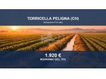 Immobile in asta di 9105 m² in vendita a Torricella Peligna