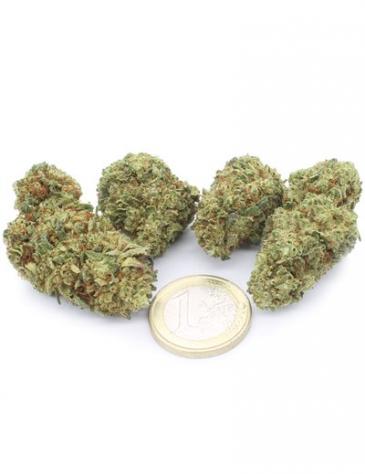 Super Lemon Zest - Foto 3
