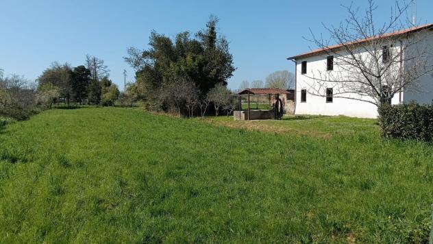 Colonica in vendita a Piano di Mommio - Massarosa 120 mq Rif: 1401149 - Foto 2