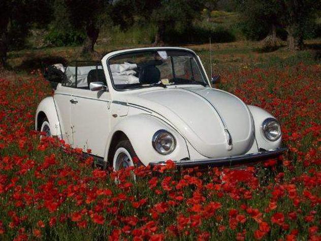 Maggiolino maggiolone cabrio - Foto 4