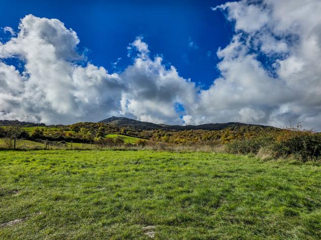 Casale in vendita a Arcidosso - Foto 17