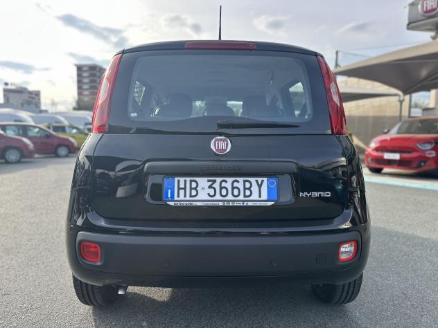 FIAT Panda Panda 1.0 FireFly S&S Hybrid - Foto 6
