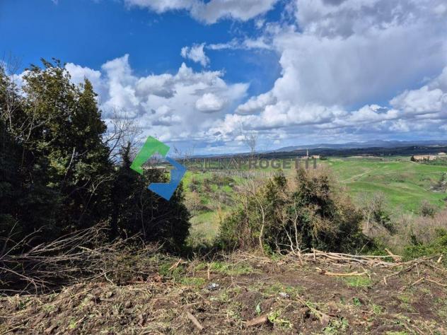 Villa da ristrutturare nelle crete senesi. - Foto 18