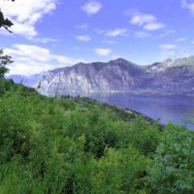 Hotel Querceto Wellness & Spa - Garda Lake Collection - Foto 3