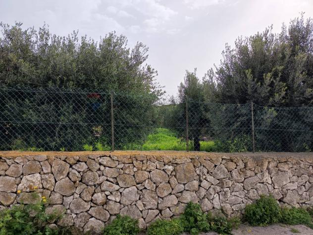 Terreno Edificabile in vendita a Siracusa, Plemmirio - Foto 11