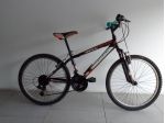 Vendo bici usata