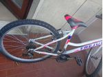 Mountain bike donna