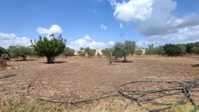 Terreno Agricolo - San Severo . Rif.: Cod. rif 3294216VCG - Foto 10