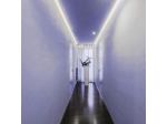 Viale dei Lecci - Luxury Rooms