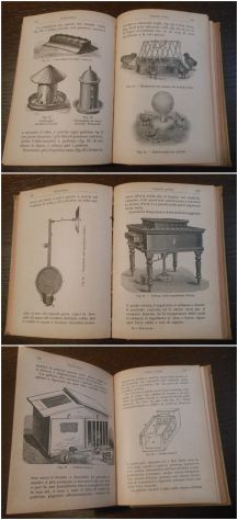 POLLICOLTURA, DEL MARCHESE G. TREVISANI, ULRICO HOEPLI 1919. - Foto 7
