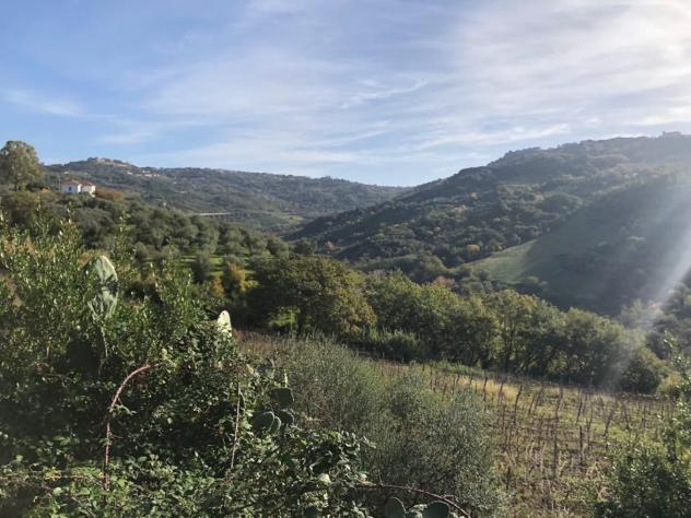 Agricolo in Destre - Foto 10