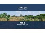 Immobile in asta di 200 m² in vendita a Lesina