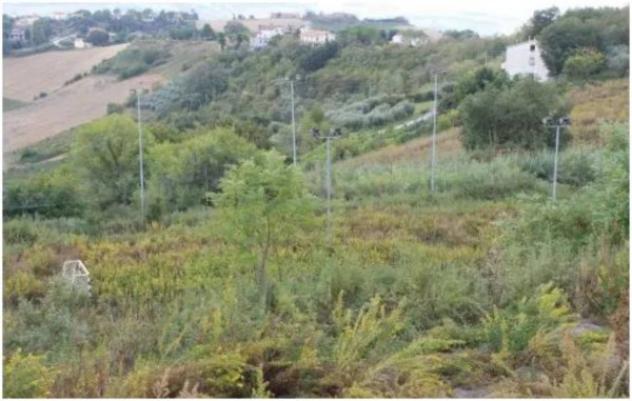 Immobile in asta di 12530 m² in vendita a Montegranaro - Foto 2