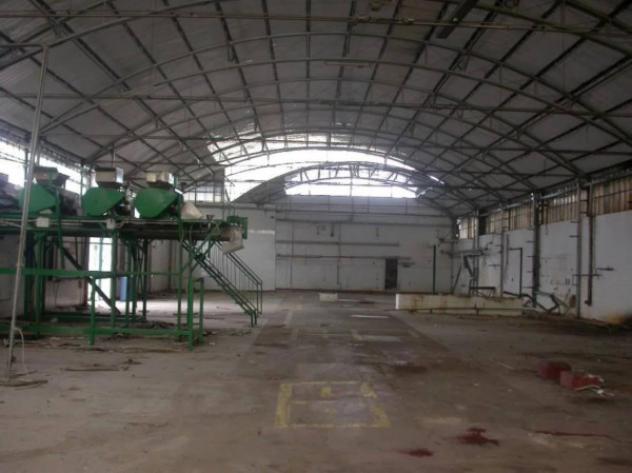 Immobile in asta di 393 m² con più di 5 locali in vendita a Rosarno - Foto 13