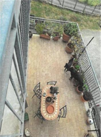 Immobile in asta di 130 m² in vendita a Gavignano - Foto 10