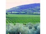 B&B La Grola