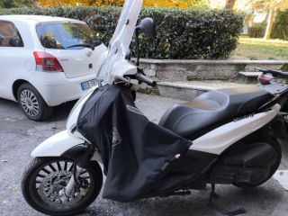 Beverly 300
