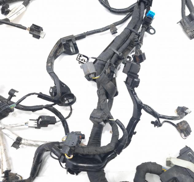 CABLAGGIO ELETTRICO MOTORE FORD EcoSport Serie JN15-12C508-BE SFJL Benzina 1000 (12) - Foto 13