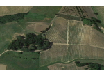 Terreno agricolo in vendita a Cerreto Guidi 45000 mq  Rif: 1204445