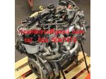 1685766 Ford Focus 1.6 tipo motore T3DB