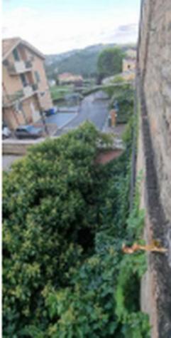 Immobile in asta di 1929 m² in vendita a Montappone - Foto 5