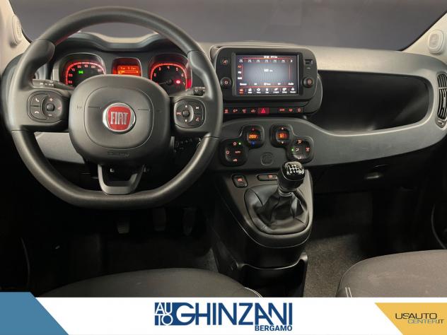 FIAT Panda Cross Panda Cross 1.0 FireFly S&S Hybrid - Foto 8