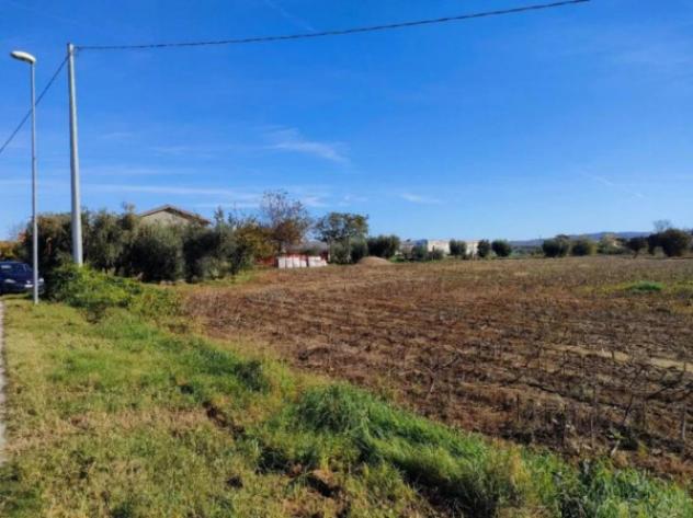 Immobile in asta di 2500 m² in vendita a Cartoceto - Foto 9