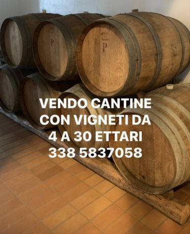 CANTINA CON 10 HA VIGNETI DI PROSECCO