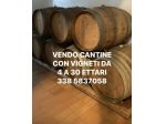 CANTINA CON 10 HA VIGNETI DI PROSECCO